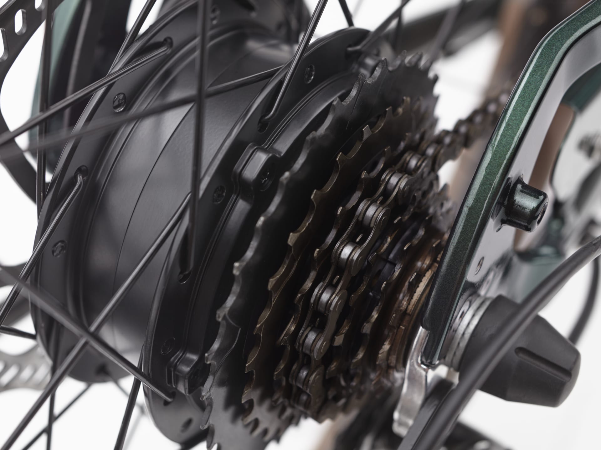 Electra Townie Go! 7D EQ Step-Over - The Bike Hub