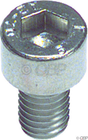 M6 x 10.0mm Stainless Socket Cap Head Bolt: Bag/10