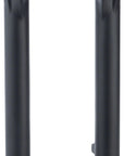 RockShox Lower Leg: BoXXer C1 29" 20 x 110 mm Boost Spacing Diffusion Black