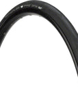 Schwalbe Pro One Tire - 700 x 25 Clincher Folding BLK Evolution Line Addix Race