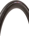 Panaracer AGILEST TLR Tire - 700 x 25 Tubeless Folding Black