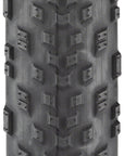 Teravail Rutland Tire - 29 x 2.2 Tubeless Folding Black Durable