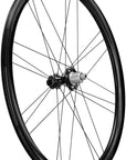 Campagnolo Bora Ultra WTO 33 Rear Wheel - 700c 12 x 142mm Center-Lock N3W 2-Way Fit Gray