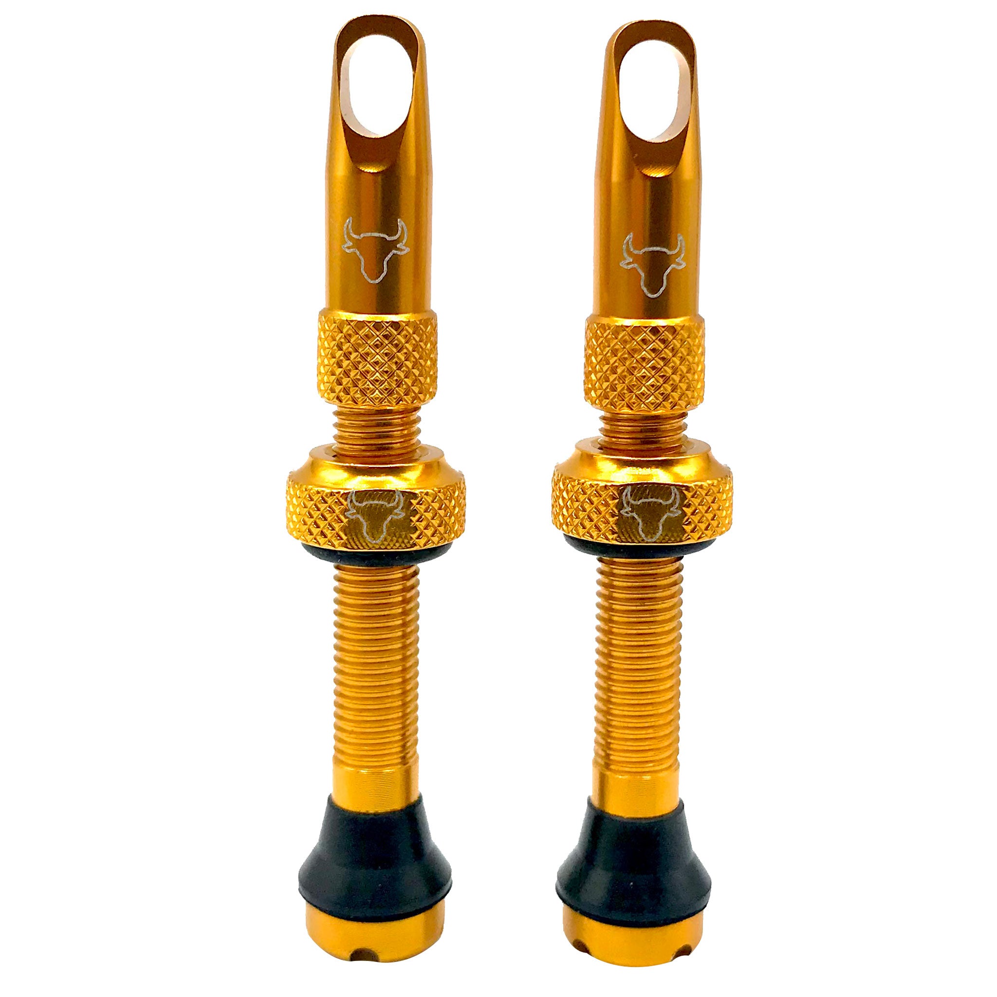 Hold Fast Cycling Tubeless Valve Stem 42mm (Pair) - Gold