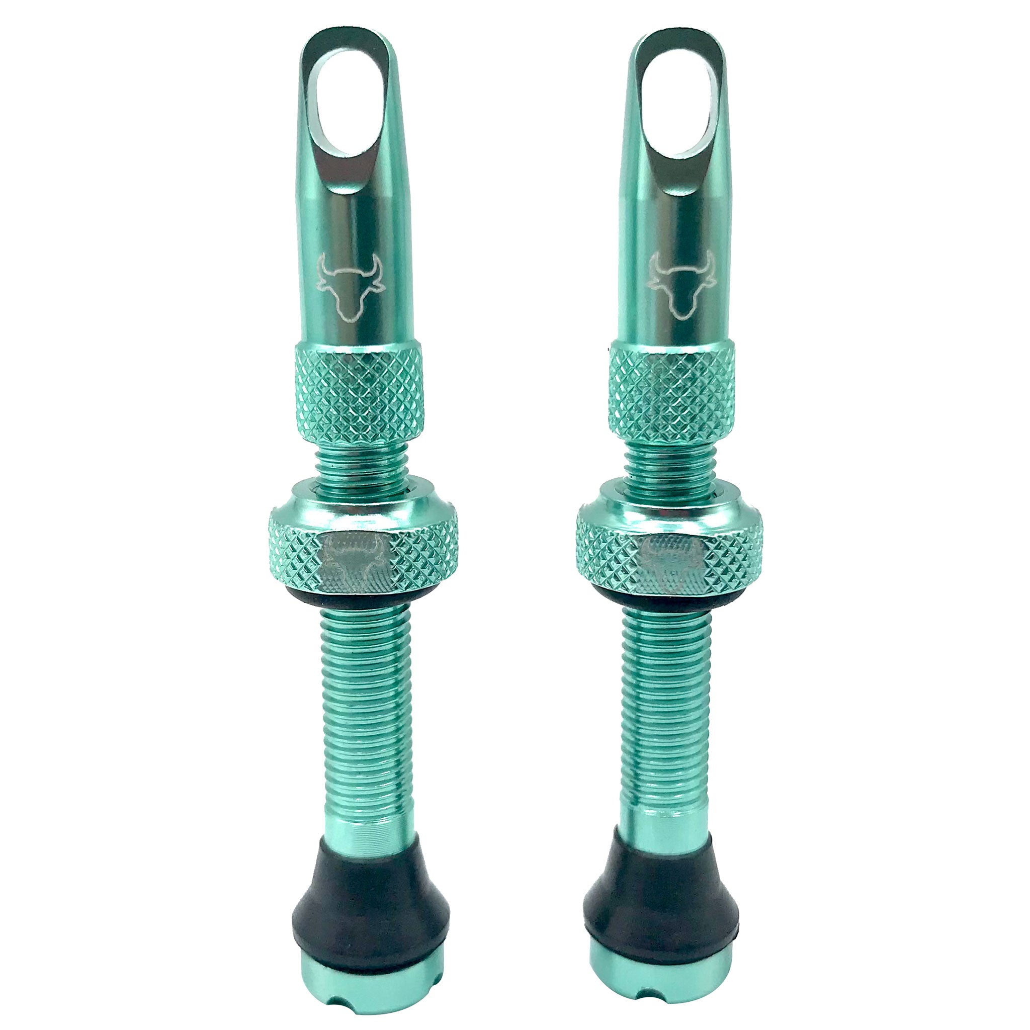 Hold Fast Cycling Tubeless Valve Stem 42mm (Pair) - Turquoise