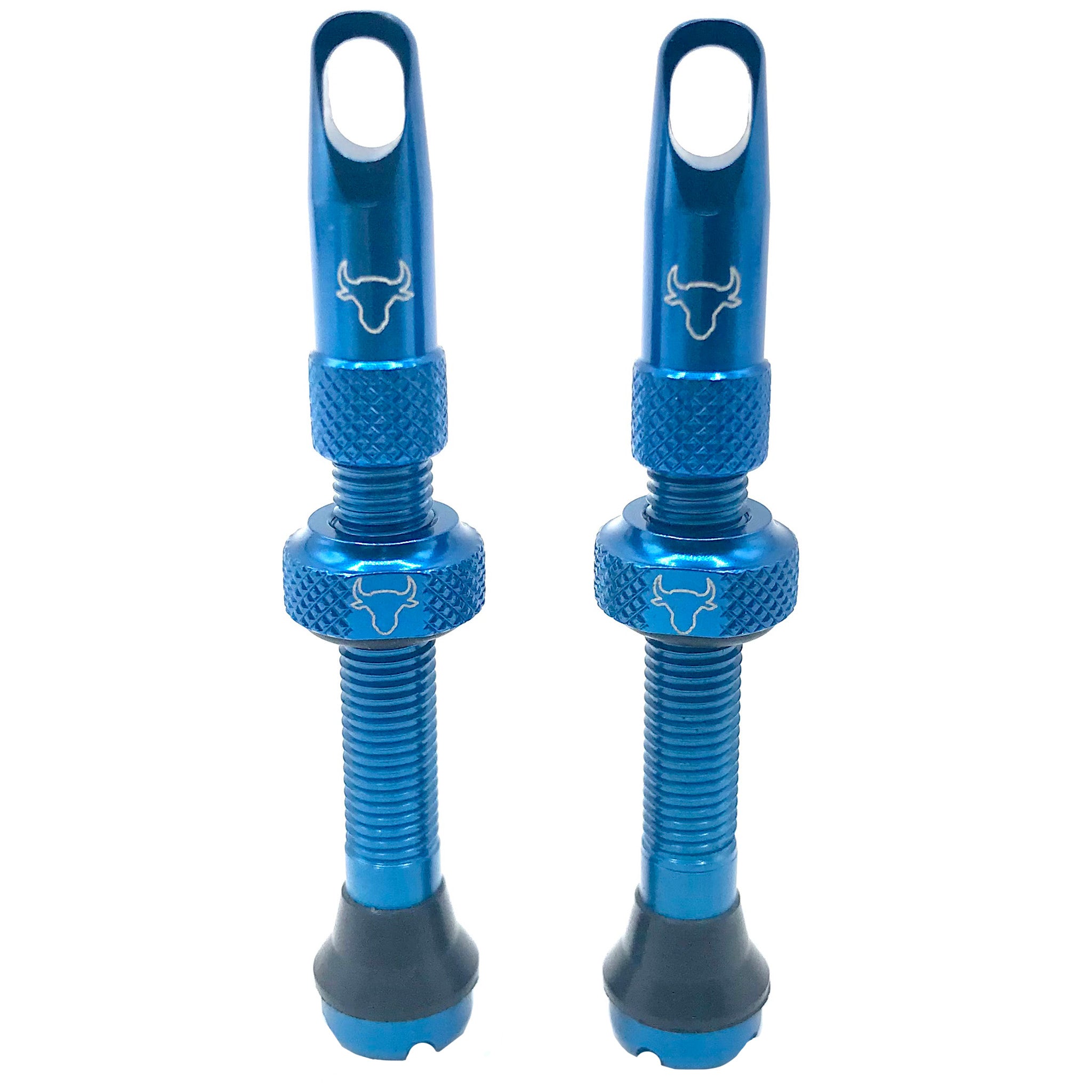 Hold Fast Cycling Tubeless Valve Stem 42mm (Pair) - Sky Blue