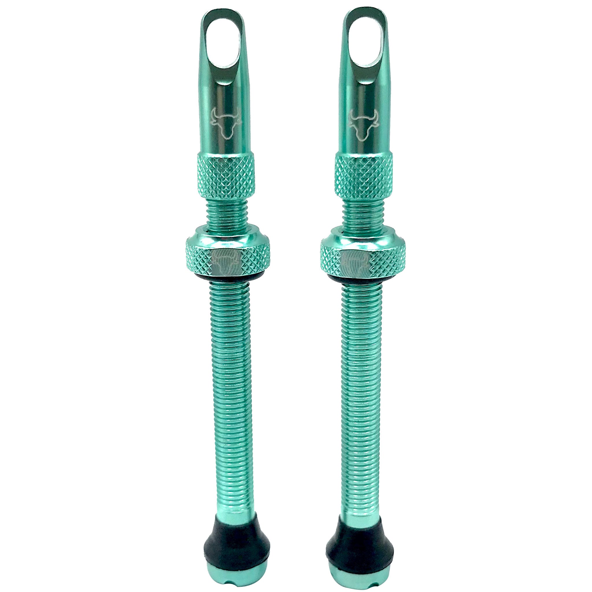 Hold Fast Cycling Tubeless Valve Stem 65mm (Pair) - Turquoise