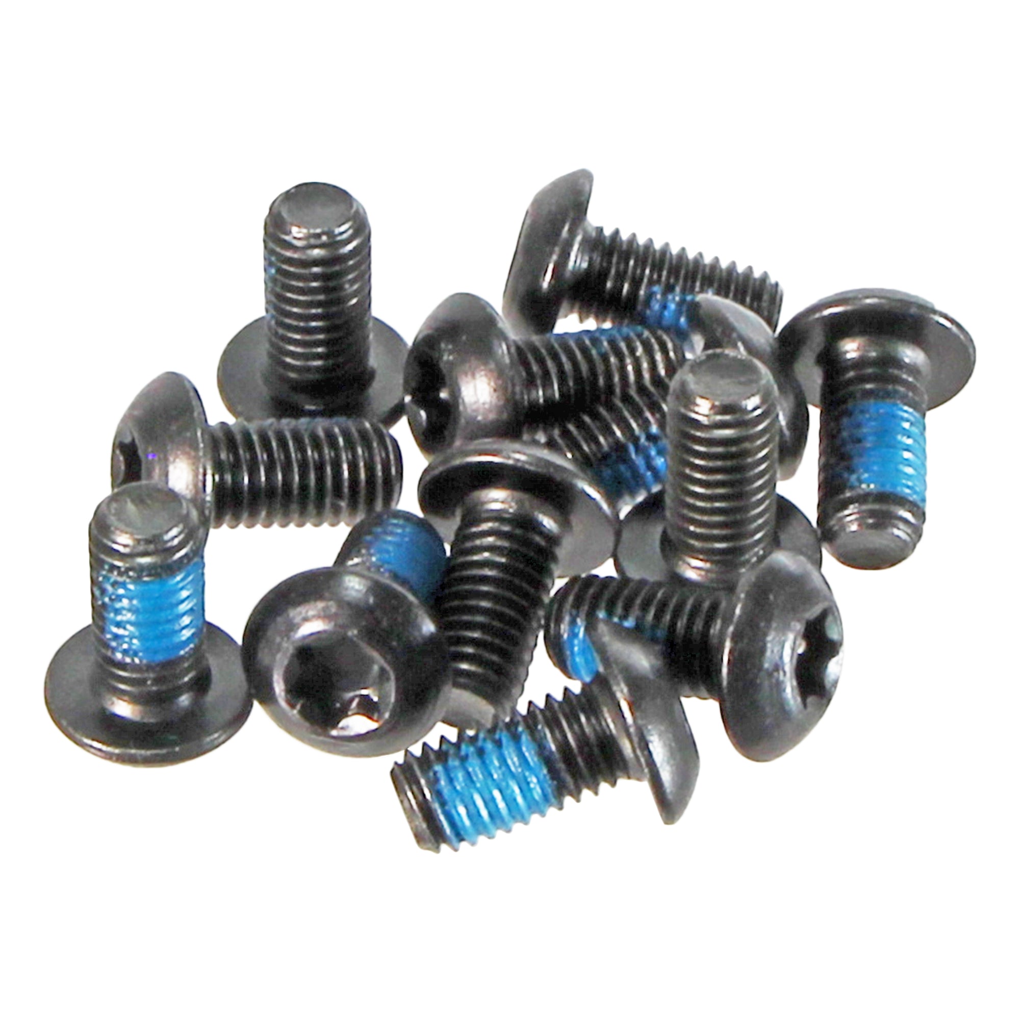 Hayes Brake Torx-T25 Rotor Bolts (12/Pack)